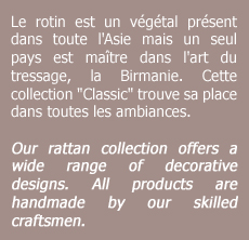 Rotin classic