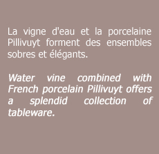 Vigne d'eau et porcelaine